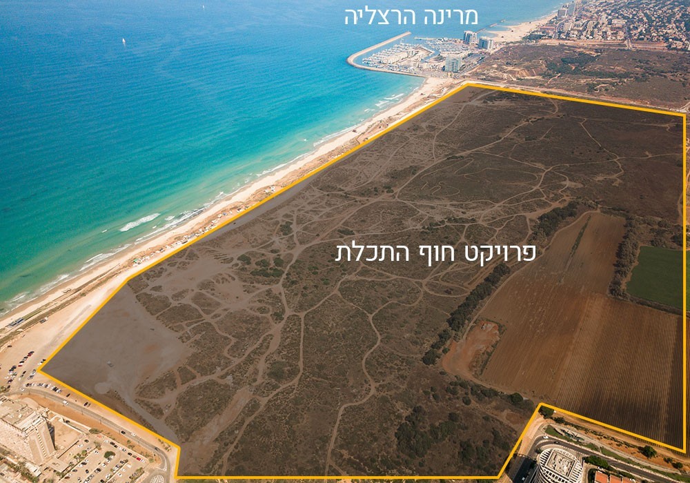 Read more about the article קרקעות להשקעה – המדריך השלם לרוכשים הטריים?